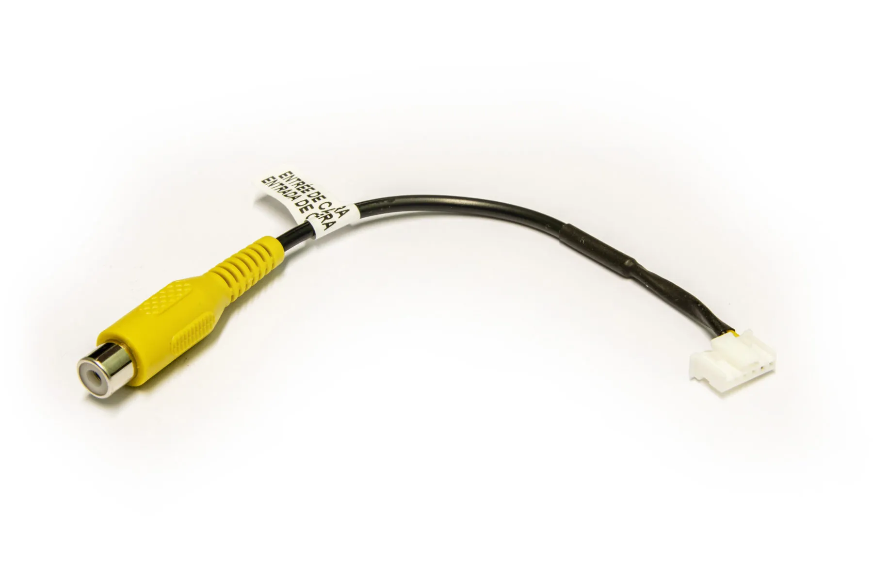 AH-Cama-Alp1 (RCA-&amp;gt;Direct)